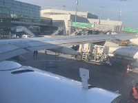IMG 1464