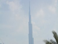 DSC 4029